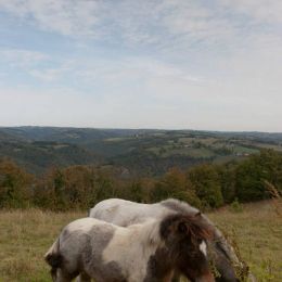_MG_8910.jpg